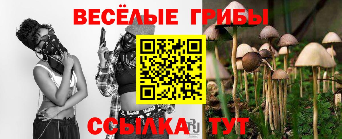 Галлюциногенные грибы ЛСД  Псилоцибиновые грибы MAGIC MUSHROOMS  Вход с VPN  Владивосток 